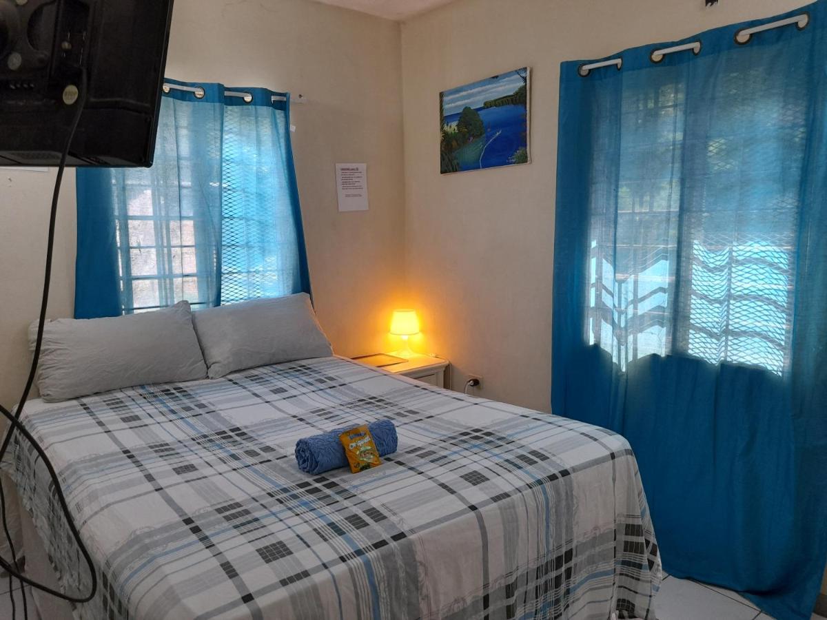 Camelia Rooms Kingston Bagian luar foto