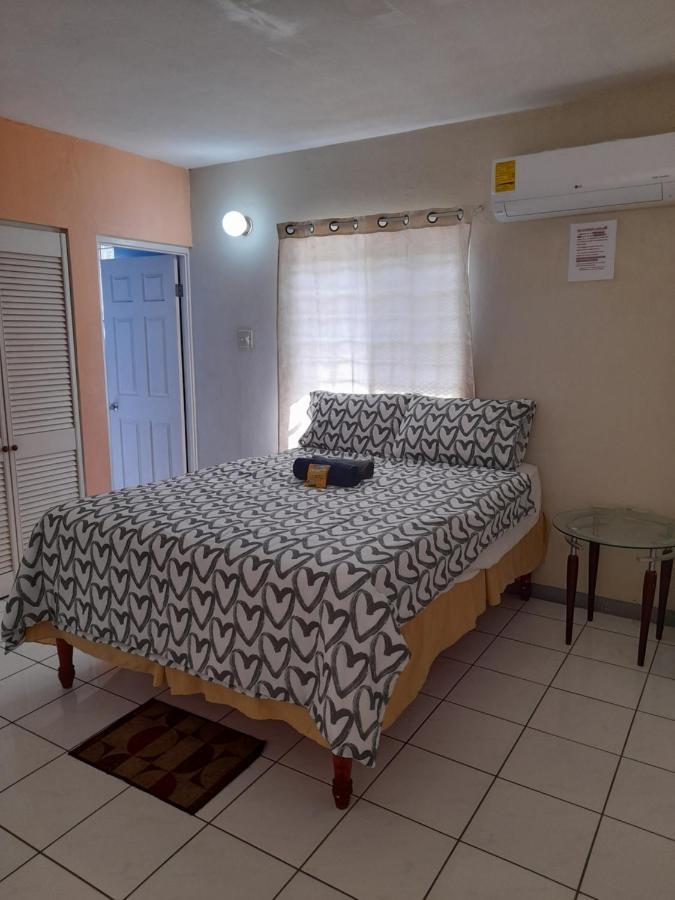 Camelia Rooms Kingston Bagian luar foto