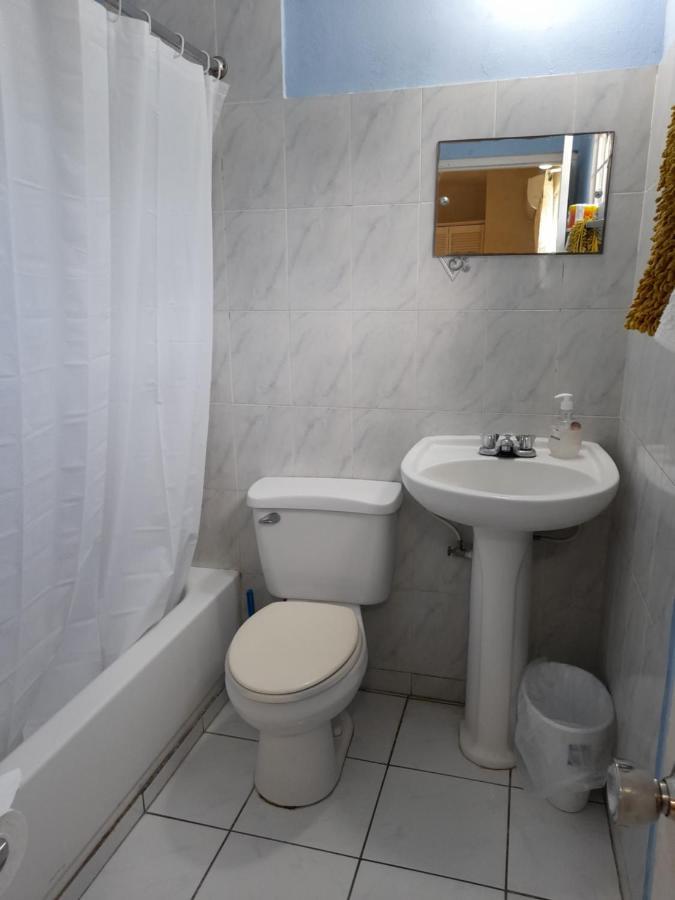 Camelia Rooms Kingston Bagian luar foto