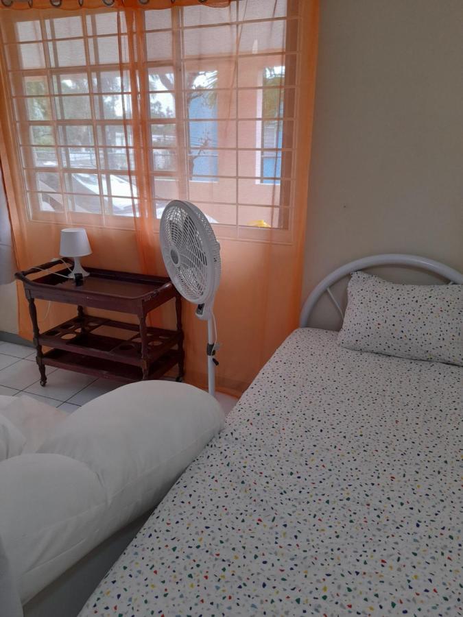 Camelia Rooms Kingston Bagian luar foto